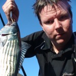 Fish species article: Bonito – Fishing for Bonito  Fishing Tackle Shop  Blog – All About Fishing & Outdoors